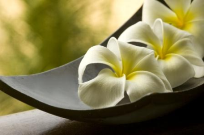 Touch Studio of Massage Image